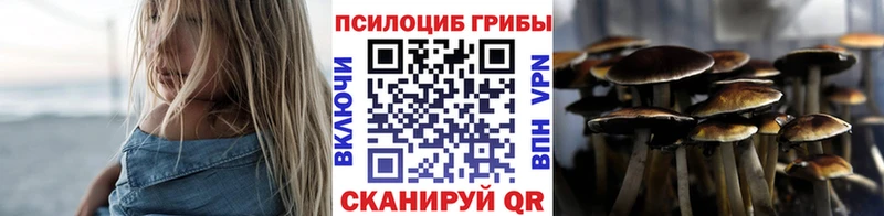 Купить где  Изобильный  Псилоцибиновые грибы MAGIC MUSHROOMS 
